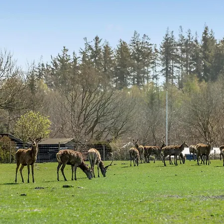 Сasa de vacaciones Haderslev 25